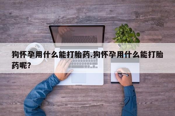 堕胎药微信狗怀孕用什么能打胎药.狗怀孕用什么能打胎药呢？