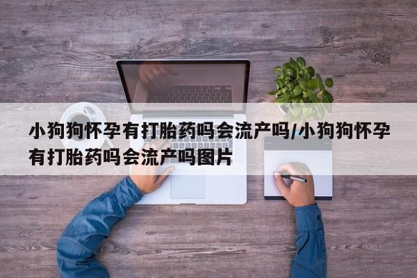 堕胎药微信小狗狗怀孕有打胎药吗会流产吗/小狗狗怀孕有打胎药吗会流产吗图片