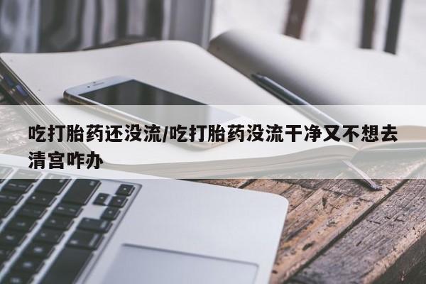 堕胎药微信吃打胎药还没流/吃打胎药没流干净又不想去清宫咋办