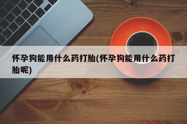 堕胎药微信怀孕狗能用什么药打胎(怀孕狗能用什么药打胎呢)