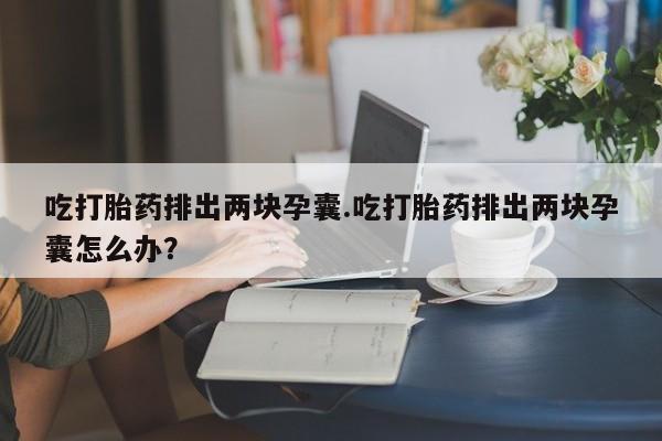 堕胎药微信吃打胎药排出两块孕囊.吃打胎药排出两块孕囊怎么办？